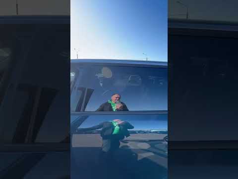 фото peugeot 5008 ii рестайлинг 0