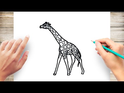 How to Draw a Giraffe Step by Step - YouTube