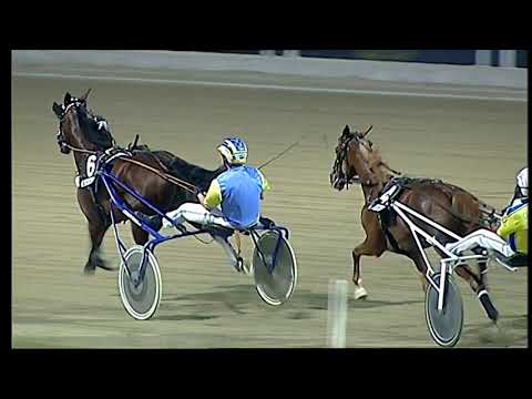 Napoli Trotto 02/07/2021 - 4ª corsa