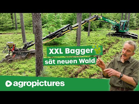 Forst Doku: XXL Bagger sät neue Bäume im Wald | IMPEX Frässaat Technik für den naturnahen Mischwald