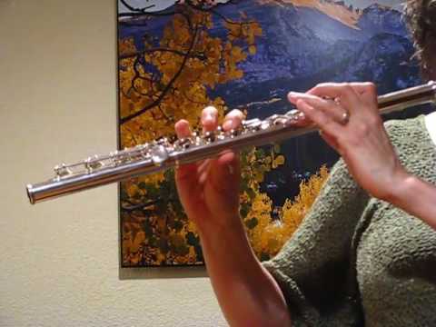 Yamaha 481 Flute (Used)  For Sale - Response Demo
