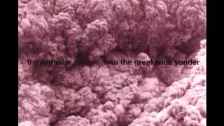 Trentemoller - The Mash And The Fury