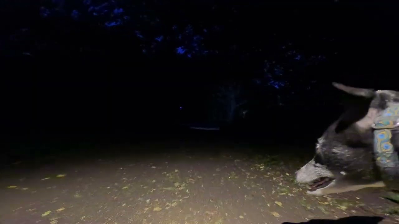 GoPro M1 Pro &mdash; Stablization 2 - YouTube