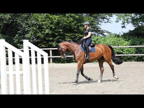 Flatwork For Young Riders with Meredith Michaels Beerbaum