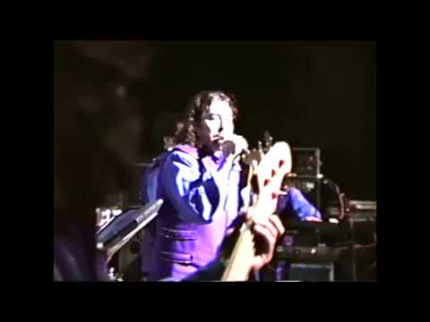 Vida mia Grupo Vennus