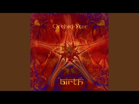 Orchid-Star - Wildflower