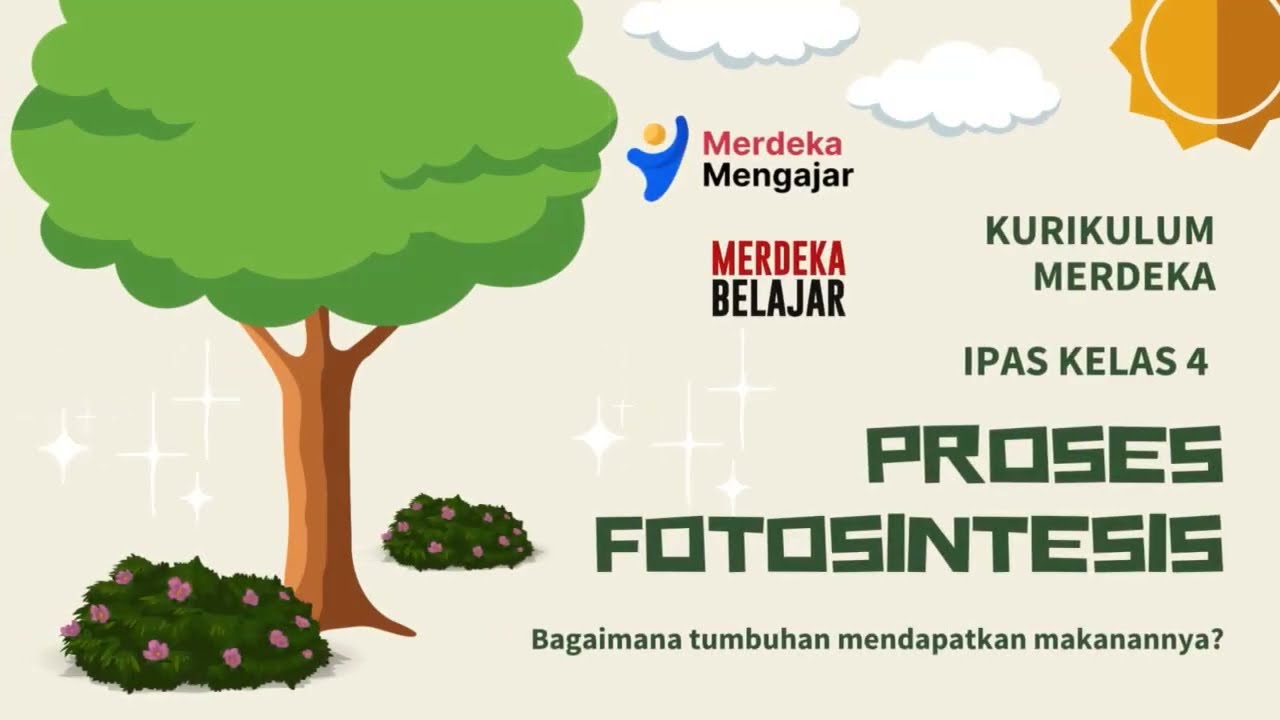 Proses Fotosintesis - Bagaimana tumbuhan mendapatkan makanannya | IPAS kelas 4 Kurikulum Merdeka