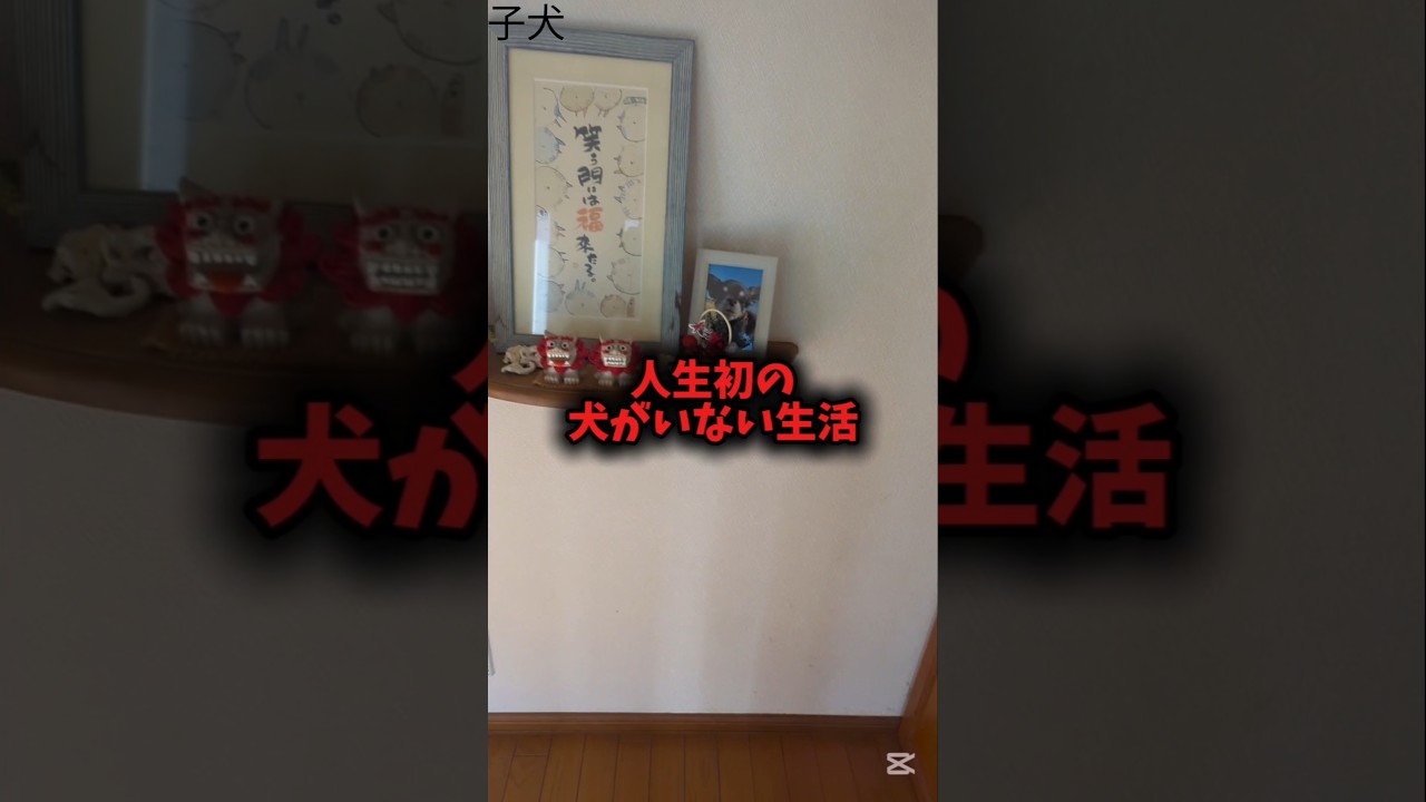 愛犬を失った生活