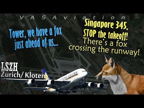 [REAL ATC] Singapore A380 forced to reject takeoff | FOX ON THE RWY!