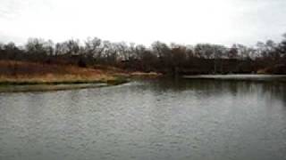 preview picture of video 'Wildwood Lake SWMA - Nebraska'