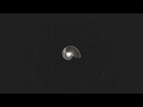 [FREE] Travis Scott X Drake X Killy Type Beat - "Promises" (Prod NetuH X Chris Falcone)