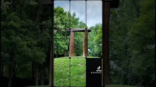 HAPPY PI DAY!! | When nature and nerds collide | #shorts