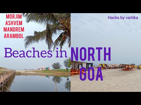 Beaches in north goa || goa beach || cleanest beach in goa 🏖🏖