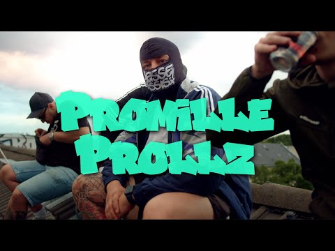 HEISSE ASSIS - Promilleprollz