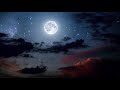 Lee Konitz - “Without A Song”