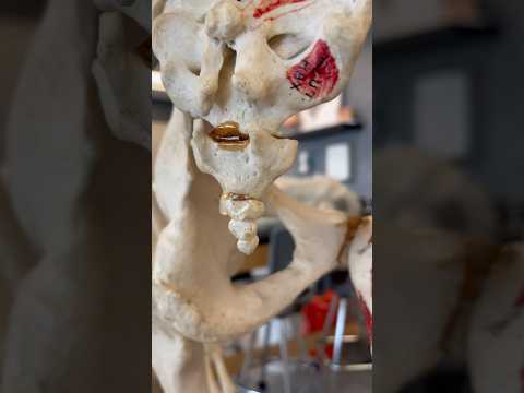 Why You Have a Tailbone! #tail #bone