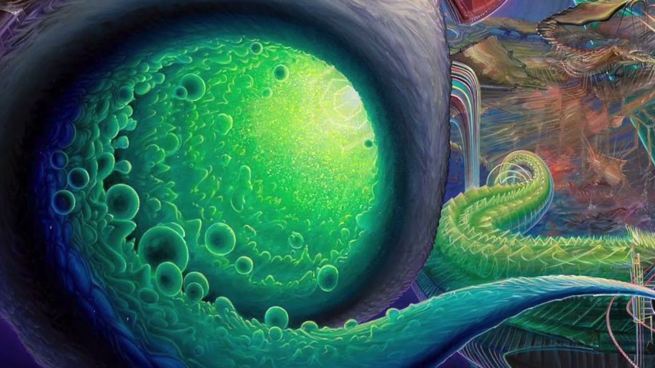 Terence McKenna - Trust Your Intuition