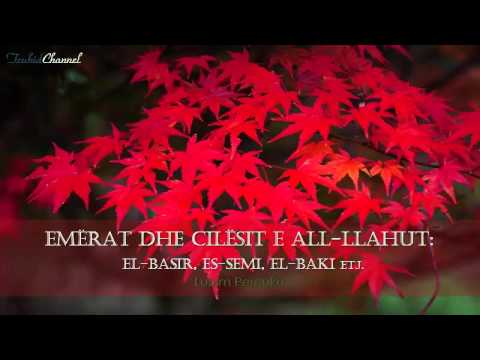 Emërat dhe cilësit e All-llahut: El-Basir, Es-Semi, El-Baki - Lulzim Percuku