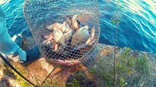 Иваньковское водохранилище новозавидовский рыбалка