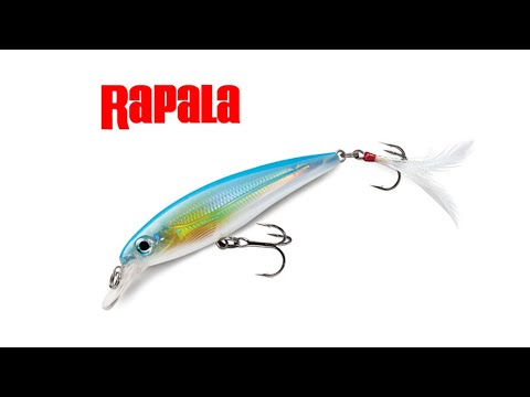 Vídeo Isca Rapala XRap XR06
