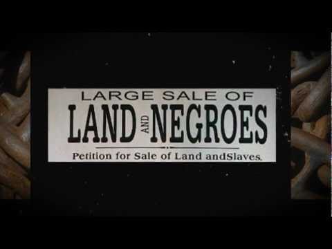 On Dr. Patterson's Slavery and Social Death