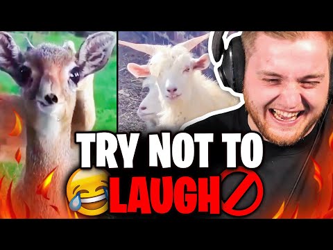 😂🔥Best of Trymacs REAKTIONEN auf TIERE! - LACHFLASH GARANTIERT...