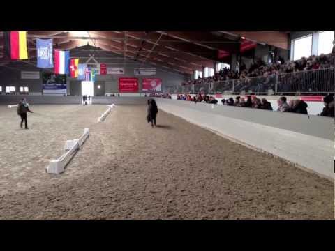 NoHePa Luhmühlen 2013 - Kronshof-Gestütsschau