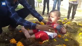 Video: Children blessed in Cow dung at Hindu festival