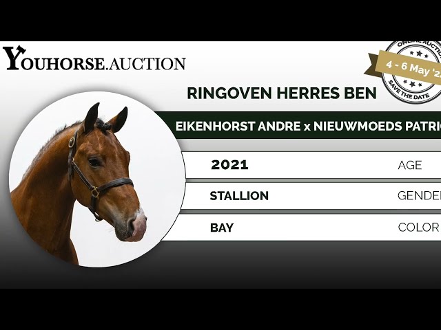 Ringoven Herrès Ben lunging