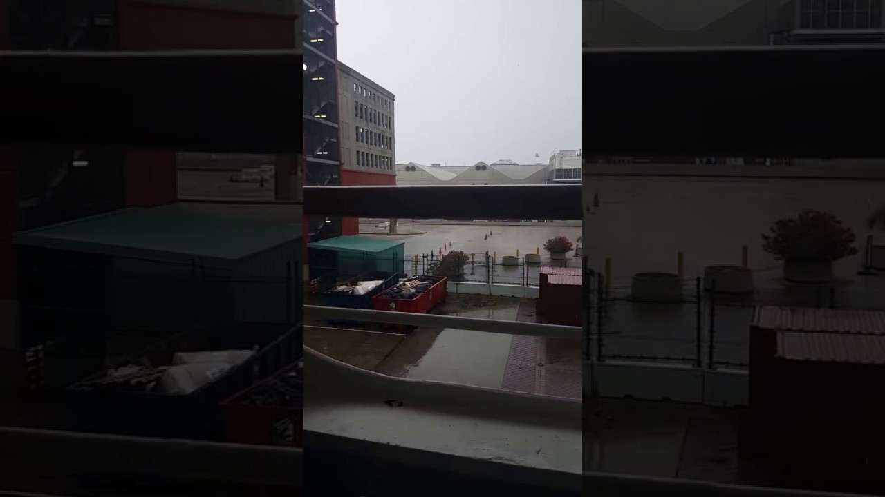 Carnival Dream - Cabin 2379 - Video 2