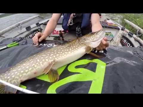 Preview: fly fishing for pike and grayling