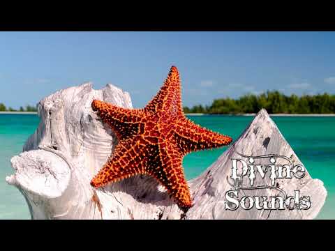 Jesse Lawrence feat. Revel Day - In The Wind