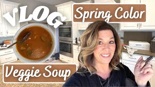 VLOG Spend the Day with Me! Spring Hair Color & Making Soup