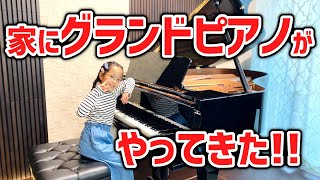 Download lagu 【感激】ついにグランドピアノ搬入‼️感極まった娘が… mp3