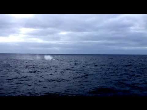 HMS Argyll (pride of the fleet) engaging with port battery