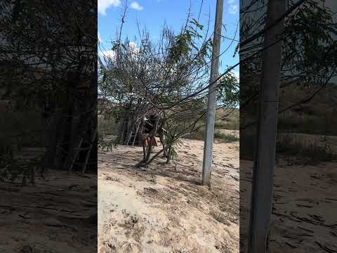 Missão do Evangelho na Serra do monte alegre Iguaracy PE. Setembro/Outubro 2025.