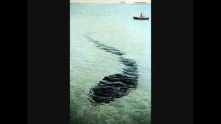 Something Real   -  Tadpole