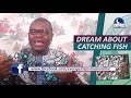 DREAM ABOUT CATCHING FISH - Biblical Meaning Of Fish In Dream