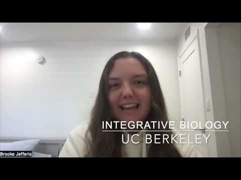 Admitted students share what they did to get into highly selective universities with PCG guidance