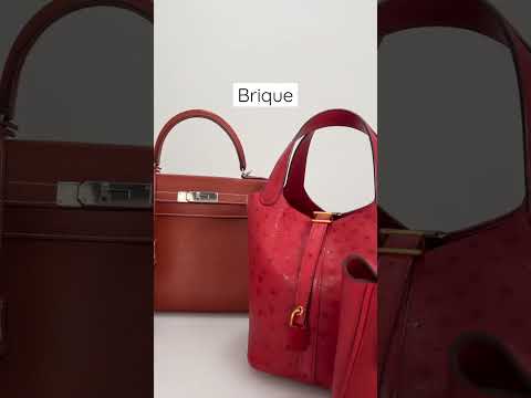 A Guide to Hermes Reds #hermes #handbags #shorts