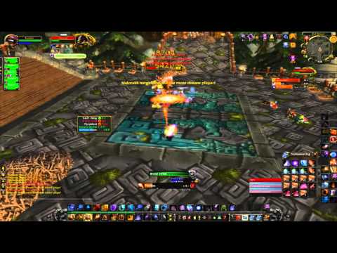 How to: Nalorakk - Zul'Aman 5-man Heroic