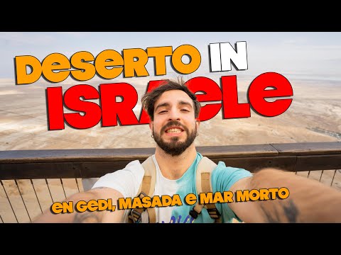 VADO nel DESERTO in ISRAELE ! 🐫 EN GEDI, MASADA E MAR MORTO - VIAGGIO IN ISRAELE #02