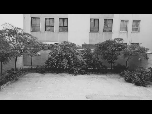 In Praise of Loneliness (در ستایش تنهایی)