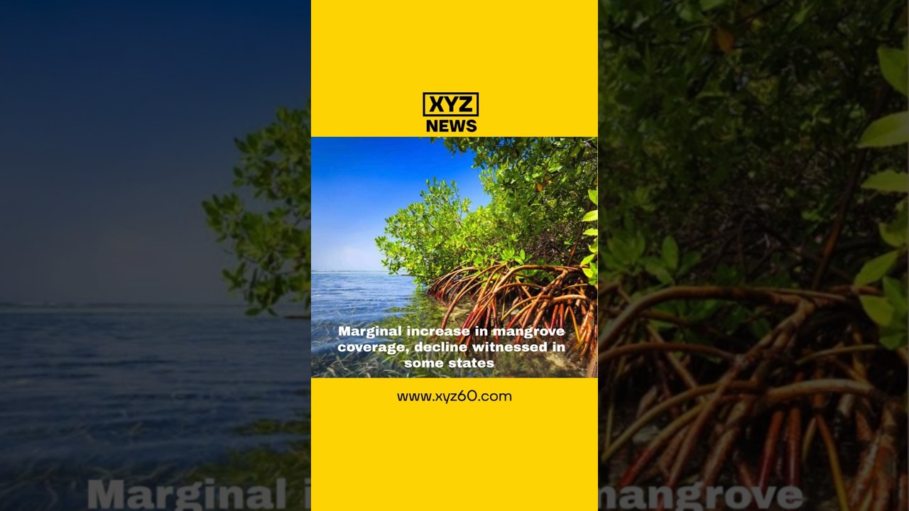 Marginal increase in mangrove coverage, decline witnessed in some states