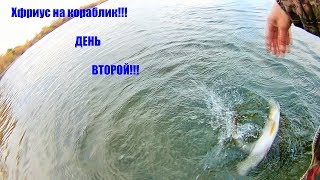 Ловля хариуса на кораблик летом