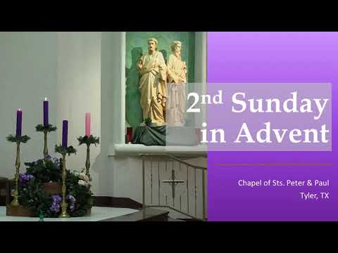 Click to Watch the Celebrate Sunday Mass - Second Sunday of Advent - 12.6.20	 video