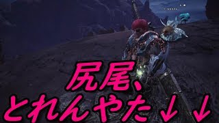 【ＺＡＫＯ！】雑魚代表MHW実況！