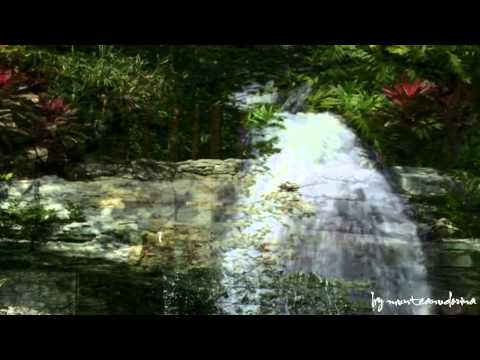 Nina Savu - Limbarita!