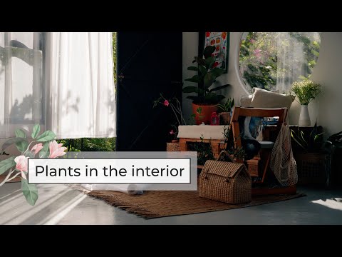 Interior Designs Styled with Plants | Plants for Home Decoration