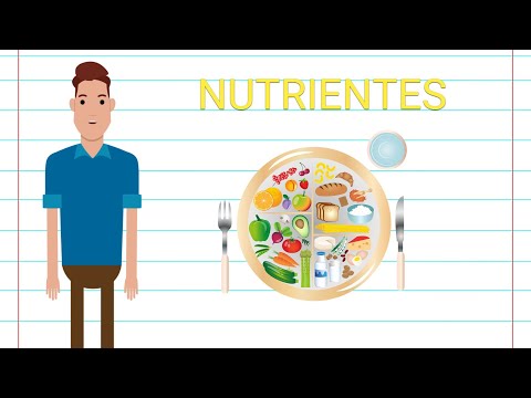 NUTRIENTS - SUMMARY
